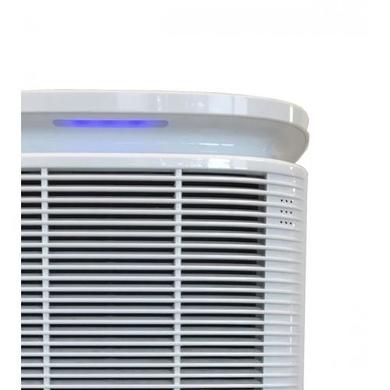 Argo 10 Litre Dehumidifier with Laundry Digital Humidistat and Anti Dust filter