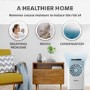 electriQ 10 Litre Laundry Dehumidifier - Best Seller