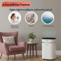 Refurbished electriQ 12L Low-Energy Quiet Laundry Dehumidifier and HEPA Air Purifier