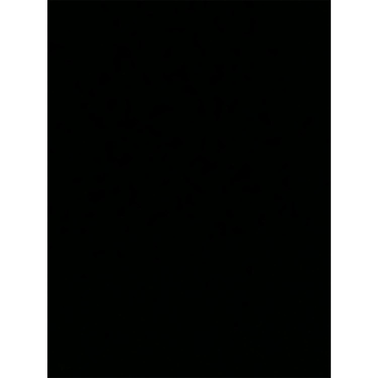 Refurbished Delonghi TRDX41025E 2.5kW Dragon 4 Pro Digital Oil Filled Radiator