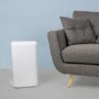 electriQ 10 Litre Dehumidifier with Humidistat for up to 3 bed house - Factory outlet