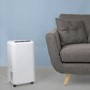 Refurbished electriQ 20 Litre Dehumidifier with Humidistat and Carbon Filter