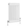 GRADE A1 - Reggio White Horizontal Double Column Traditional Radiator 600x425mm 1416 BTU - Cast Iron Style