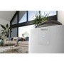 Delonghi A+ AP120 Pinguino 12000 BTU Quiet Portable Air Conditioner - GentleJet & Low Energy