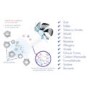 GRADE A1 - Meaco Airvax Air Purifier up to 25 sqm - White