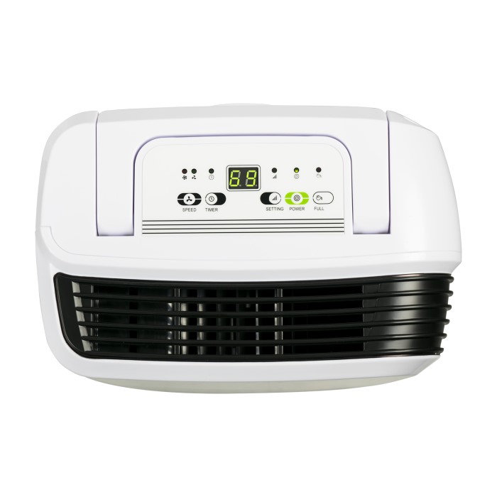 Buy electriQ 12L Slim premium Antibacterial Wallmountable Dehumidifierup to 3 Bed House from