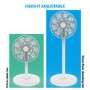 Refurbished electriQ 12 Inch Low Energy Pedestal Fan - White