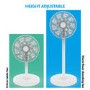 electriQ 12 Inch Quiet Low Energy DC Oscillating Pedestal Fan - White