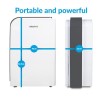 electriQ 10 Litre Smart Desiccant Dehumidifier with Heater and HEPA Air Purifier