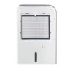 electriQ 10 Litre Smart Desiccant Dehumidifier with Heater and HEPA Air Purifier