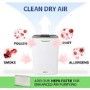 GRADE A1 - Desiccant 8 litre Fast-Dry Dehumidifier and Air Purifier great for 2-5 bed House Large Tank