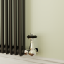 Reggio Midnight Black Horizontal Double Column Traditional Radiator 800x605mm 2045 BTU - Cast Iron Style