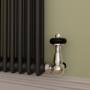 Reggio Midnight Black Horizontal Double Column Radiator 800x1460mm 6598 BTU - Cast Iron Style
