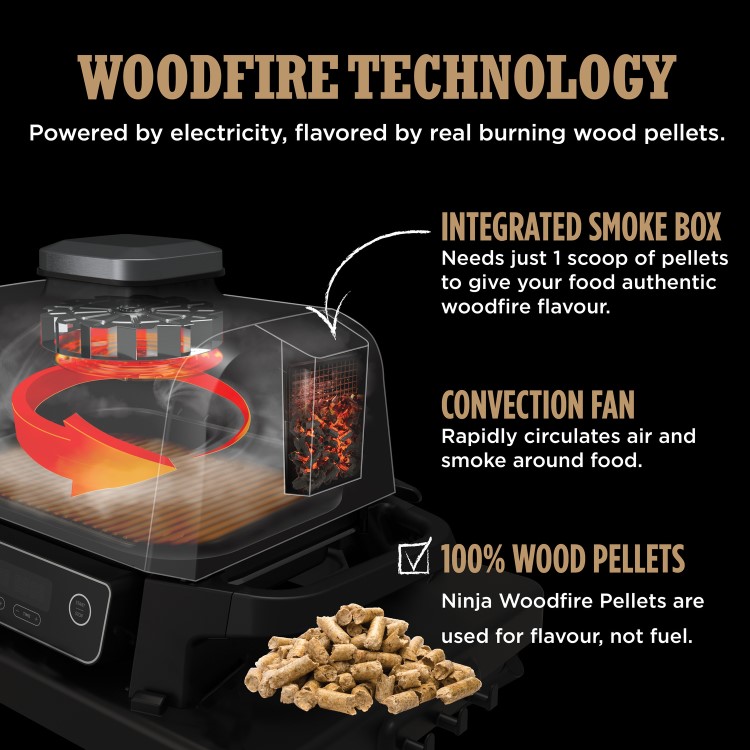 Ninja Woodfire Electric BBQ Grill & Smoker with Cover and Stand - OG701UK