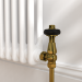 Maesta Brushed Brass Traditional TRV Angled Thermostatic Radiator Valves With Lockshield