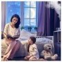 GRADE A1 - Boneco Ultrasonic Humidifier U350