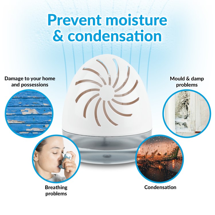 electriQ 360 Moisture Absorber with Free Refill